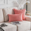 Picture of Home Brilliant 20 inch Cushion Covers Square Plush Velvet Accent Pillow Cases for Valentines Girl Friend Gift, 2 Pack(Coral, 20 x 20 inch, 50cm)