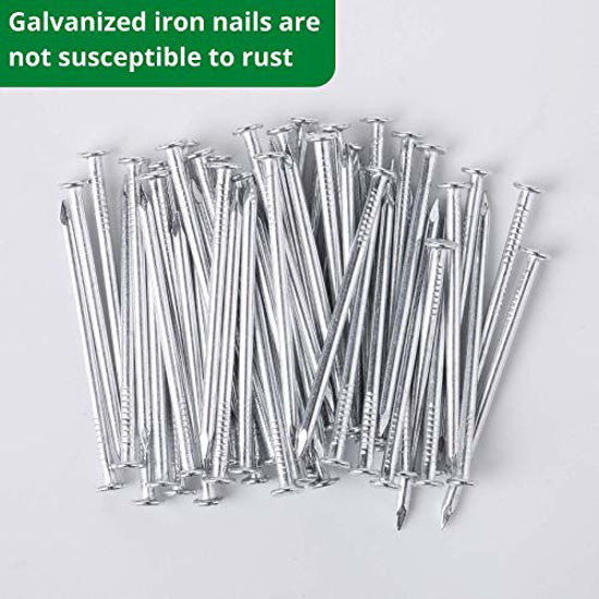 Generic KURUI 700pcs Hardware Nails for Hanging Pictures Assorted Kit, Up  to 2
