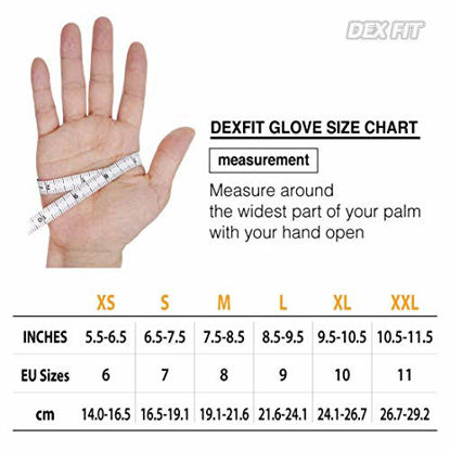Dex Fit Premium Nylon Nitrile Work Gloves Fn320, 12 Pairs, 3D-Comfort Stretchy Fit, Firm Grip, Thin Lightweight, Durable, Breat