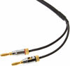 Picture of AmazonBasics Speaker Cable Wire with Gold-Plated Banana Tip Plugs - CL2 - 99.9% Oxygen Free - 3-Foot