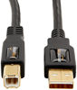 Picture of Amazon Basics USB 2.0 Printer Cable - A-Male to B-Male Cord - 10 Feet (3 Meters)