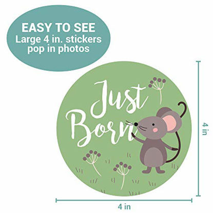 Picture of Baby Monthly Stickers | Woodland Creatures Baby Milestone Stickers | Newborn Boy or Girl Animal Stickers | Month Stickers for Baby Boy | Gender Neutral | Unisex Monthly Milestone Stickers (Set of 24)