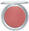 Picture of L'Oreal Paris True Match Super-Blendable Blush, Spiced Plum, 0.21 oz.