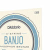 Picture of D'Addario EJ69 Phosphor Bronze 5-String Banjo Strings, Light, 9-20