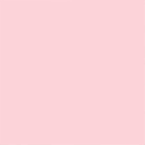 Picture of Rust-Oleum 249119 Painter's Touch 2X Ultra Cover, 12 Oz, Gloss Candy Pink