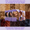 Picture of Softsheen-Carson Dark and Lovely Fade Resist Rich Conditioning Hair Color, Permanent Hair Color, Up To 100% Gray Coverage, Brilliant Shine with Argan Oil and Vitamin E, Chestnut Blonde