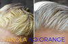 Picture of Fanola No Yellow and No Orange Shampoo Package, 350 ml