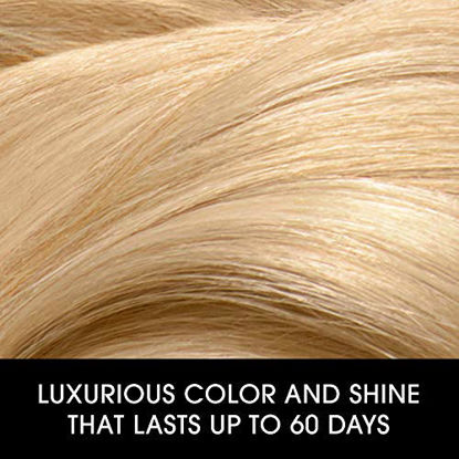 Picture of Clairol Nice 'n Easy Perfect 10 Permanent Hair Dye Kit, Dark Auburn, Pack of 1