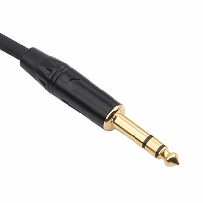 Picture of TISINO XLR Female to 1/4 Inch (6.35mm) TRS Jack Lead Balanced Signal Interconnect Cable XLR to Quarter inch Patch Cable - 3.3 Feet