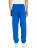 Picture of Hanes Men's EcoSmart Fleece Sweatpant, Deep Royal, 3XL