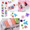 Picture of iFancer 108 Pcs Dried Flowers for Resin Nail Art 62 Colors 3D Dry Flowers for Nails 2 Boxes Small Tiny Dried Flowers for Nail Art Little Pressed Real Natural Flower Nail Art Design Decoration Supplies