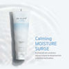 Picture of BE PLAIN Hyaluronic Aqua Moisturizer 2.7 fl oz. - Daily Moisturizing Cream for Face