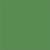 Picture of Rust-Oleum 249072 Painter's Touch 2X Ultra Cover, 12 Oz, Satin Leafy Green