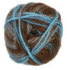 Picture of Red Heart Soft Yarn, Waterscape