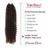 Picture of 24inch 7Packs Passion Twist Hair Water Wave Crochet Braids for Passion Twist Crochet Hair Passion Twist Braiding Hair Hair Extensions (24'' 7Packs, T30#)