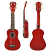 Picture of Soprano Ukulele Beginner Pack-21 Inch w/Gig Bag Fast Learn Songbook Digital Tuner All in One Kit