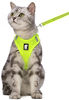 Picture of FDOYLCLC Cat Harness and Leash Set for Walking Escape Proof, Step-in Easy Control Outdoor Jacket, Adjustable Reflective Breathable Soft Air Mesh Vest for Small, Medium, Large Kitten (Fruit Green, L)