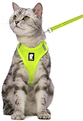 Picture of FDOYLCLC Cat Harness and Leash Set for Walking Escape Proof, Step-in Easy Control Outdoor Jacket, Adjustable Reflective Breathable Soft Air Mesh Vest for Small, Medium, Large Kitten (Fruit Green, L)