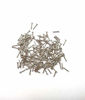 Picture of Tiny Wooden Nails for DIY Craft Projects, Antique Drawer Repairing, Mini Boxes Decorative Accessories[Set of 200pcs]0.039×0.39inch (1×10mm,Silver)