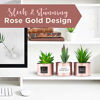 Picture of Office Decor for Women Desk- Rose Gold Decor Desk Plant For Bookshelf Decor, Boho Bedroom Decor For Women College Dorm for Girls - Artificial Plant Cactus Succulent - Kitchen Decorations & Accessories