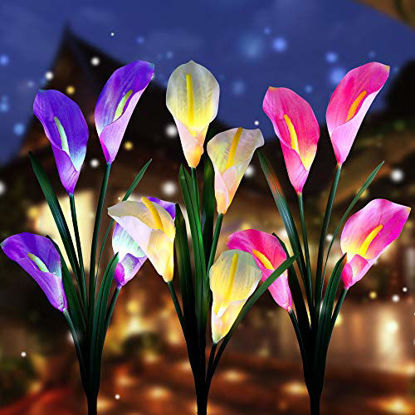 Picture of Aloudy Solar Garden Stake Lights, Upgraded 3 Pack Outdoor Waterproof Solar Powered Lights with 12 Calla Lily Flowers, 7 Colors Changing LED Solar Lights for Garden, Patio, Backyard(Purple and White)