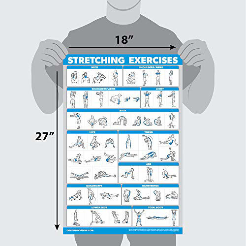 GetUSCart- QuickFit Yoga Poses and Stretching Exercise Poster Set ...