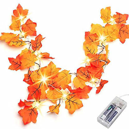 Picture of Thanksgiving Decorations Lighted Fall Garland, Thanksgiving Decor Halloween String Lights 8.2 Feet 20 LED, Thanksgiving Gift Fall Decor for Home Holiday Autumn Garland Indoor