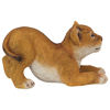 Picture of Design Toscano QM28733 Lion Cub of The Sahara Animal Statue: Tibesti, Full Color