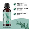 Picture of Pure Rosemary Essential Oil for Aromatherapy - Pure Rosemary Oil for Hair Skin and Nails - Refreshing Rosemary Essential Oil for Humidifier and Diffusers Plus Scalp and Hair Oil for Enhanced Shine