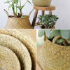 Picture of Natural Craft Large Size(16x16x15 inches) Seagrass Belly Basket for Storage, Laundry, Picnic and Woven Straw Beach Bag - Plant Pots Cover Indoor Decorative