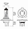 Picture of HELLA H4P50TB +50 Performance Bulb, 12V, 60/55W, 2 Pack