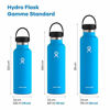 Picture of Hydro Flask 24 oz. Water Bottle - Stainless Steel, Reusable, Vacuum Insulated with Standard Mouth Flex Lid , Pacific