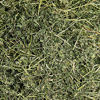 Picture of Small Pet Select Alfalfa Hay Pet Food, 2 lb.