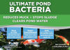 Picture of PondValue Ultimate Pond Bacteria