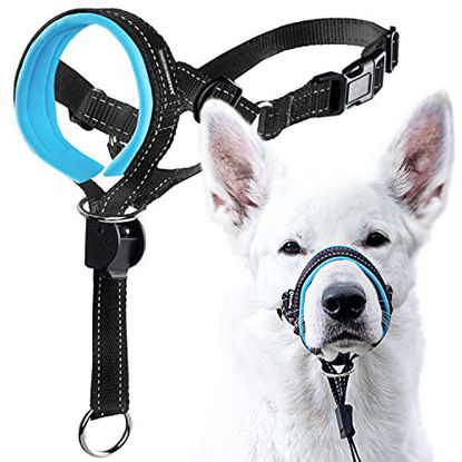 Picture of GoodBoy Dog Head Halter with Safety Strap - Stops Heavy Pulling On The Leash - Padded Headcollar for Small Medium and Large Dog Sizes - Head Collar Training Guide Included (Size 3, Blue)