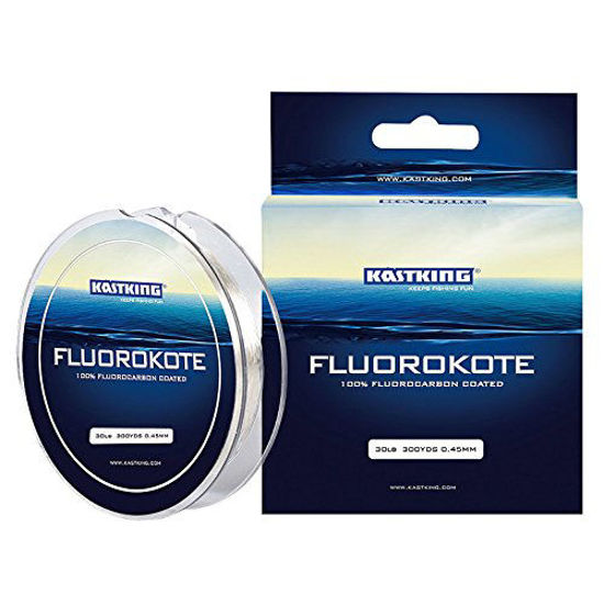 https://www.getuscart.com/images/thumbs/0768827_kastking-fluorokote-pure-fluorocarbon-coated-fishing-line-8lb-300yds-274m-clear_550.jpeg