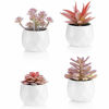 Picture of VIVERIE Faux Succulents in White Ceramic Pots for Desk, Office, Living Room, and Home Decoration - Fake Plants Included (Set of 4 Artificial Succulents)