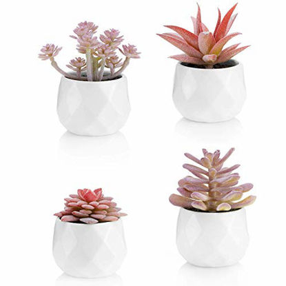 Picture of VIVERIE Faux Succulents in White Ceramic Pots for Desk, Office, Living Room, and Home Decoration - Fake Plants Included (Set of 4 Artificial Succulents)