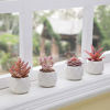 Picture of VIVERIE Faux Succulents in White Ceramic Pots for Desk, Office, Living Room, and Home Decoration - Fake Plants Included (Set of 4 Artificial Succulents)