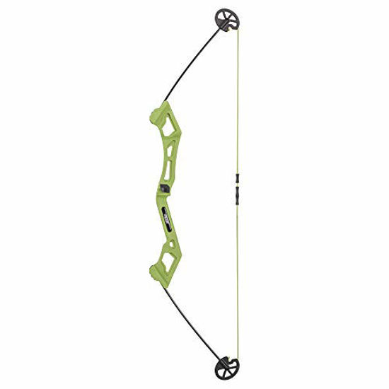 Picture of Bear Archery Valiant Bow Set