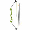 Picture of Bear Archery Valiant Bow Set