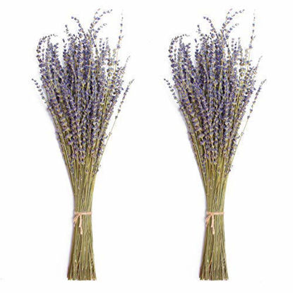 Picture of Timoo Dried Lavender Bundles 100% Natural Dried Lavender Flowers for Home Decoration, Photo Props, Home Fragrance, 2 Bundles Pack