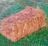 Picture of USA Premium Pine Straw - Pine Needle Mulch - Covers 65-80 Sqft