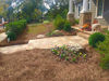 Picture of USA Premium Pine Straw - Pine Needle Mulch - Covers 65-80 Sqft