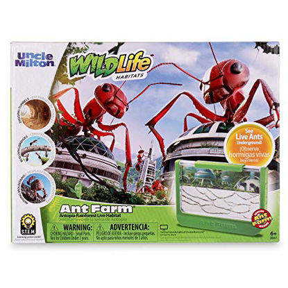 Picture of Uncle Milton Ant Farm Antopia Rainforest Ant Habitat - Observe Live Ants - Nature Learning Toy Green