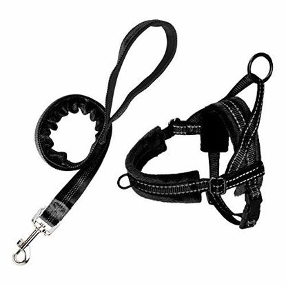 Picture of SlowTon No Pull Small Dog Harness and Leash, Front Lead Walk Vest Harness Soft Padded Reflective Adjustable Puppy Harness Anti-Twist Pet Lead Quick Fit for Small Dog Cat Animal (XS, Black)