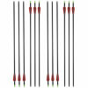 Picture of HANDBAIGE 12 Pack Mix Carbon Archery 30/31 Inch Hunting Arrows 100 Grain Points for Targeting Compound/Recurve/Long Bow (red)