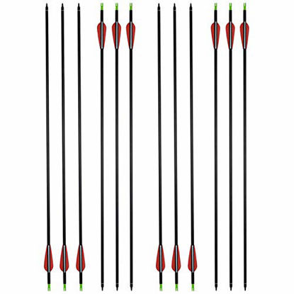 Picture of HANDBAIGE 12 Pack Mix Carbon Archery 30/31 Inch Hunting Arrows 100 Grain Points for Targeting Compound/Recurve/Long Bow (red)