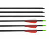 Picture of HANDBAIGE 12 Pack Mix Carbon Archery 30/31 Inch Hunting Arrows 100 Grain Points for Targeting Compound/Recurve/Long Bow (red)