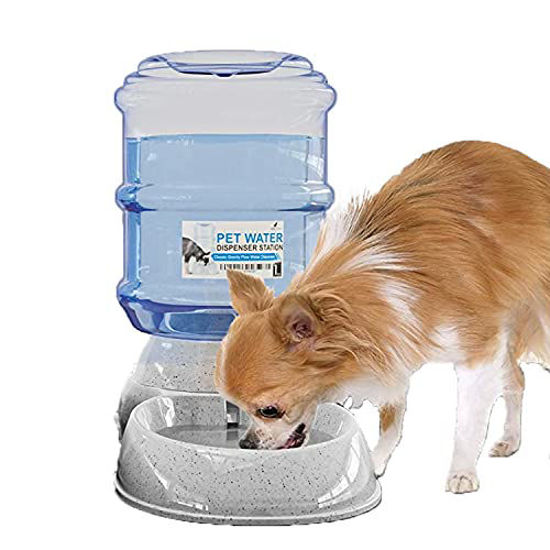 Gallon dog water outlet bowl